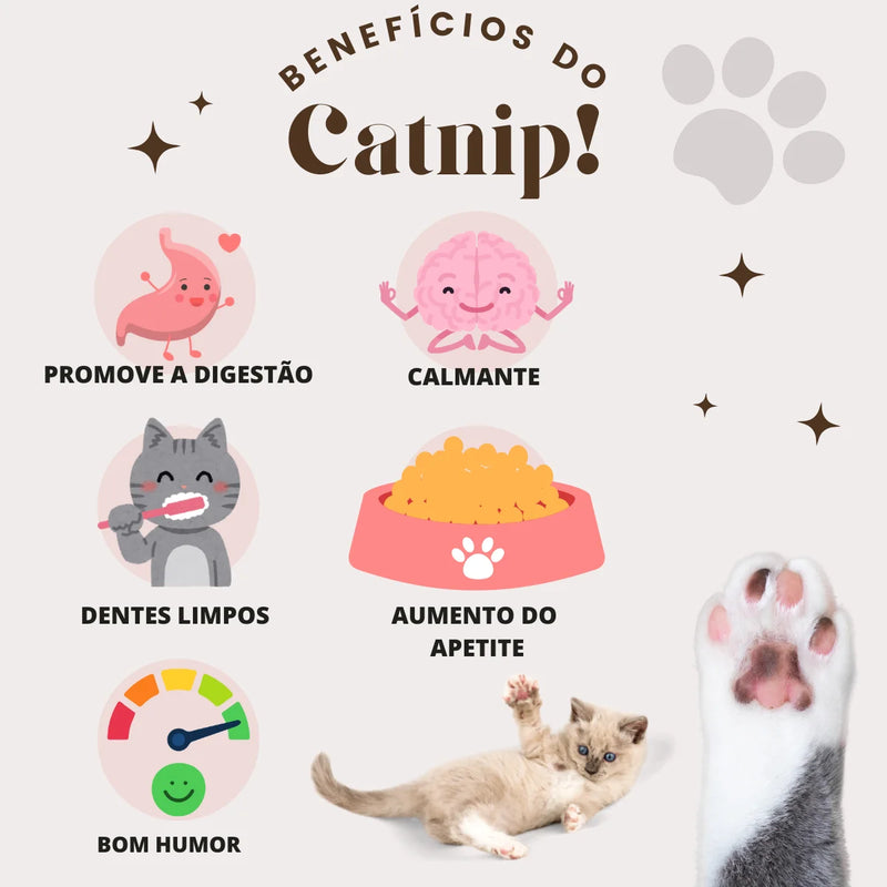 Brinquedo de Abacate para Gatos com Erva Catnip, Bola Giratória Removível