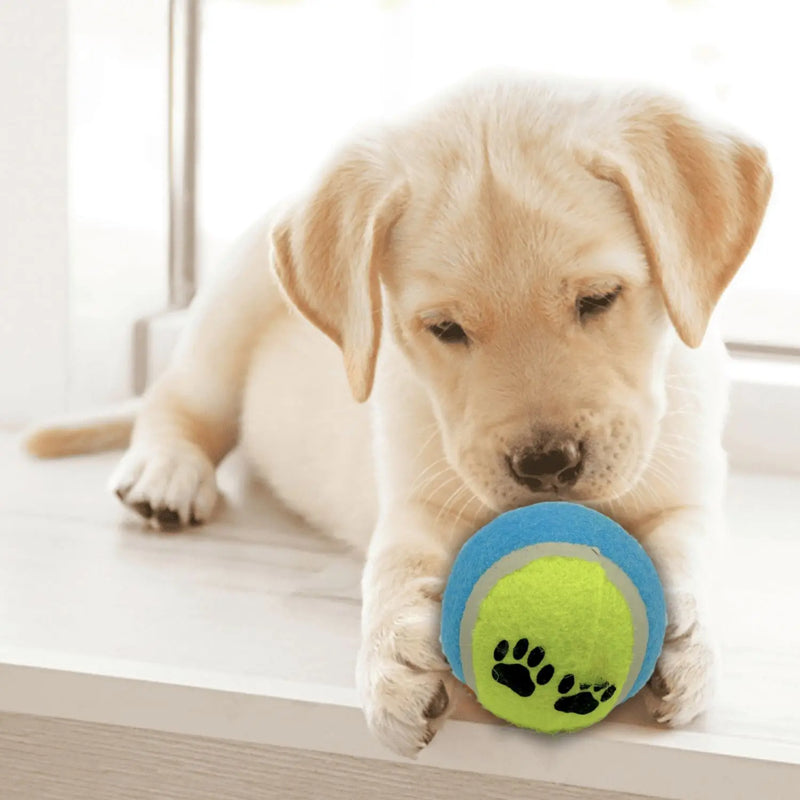 Conjunto com 3 Bolas de Brinquedo para Gato e Cão Brinquedos Interativos Divertidos Bolas de Tênis Coloridas para Pets